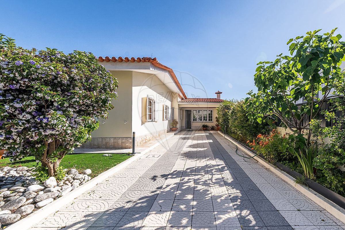 listing 126631002-47 picture-0