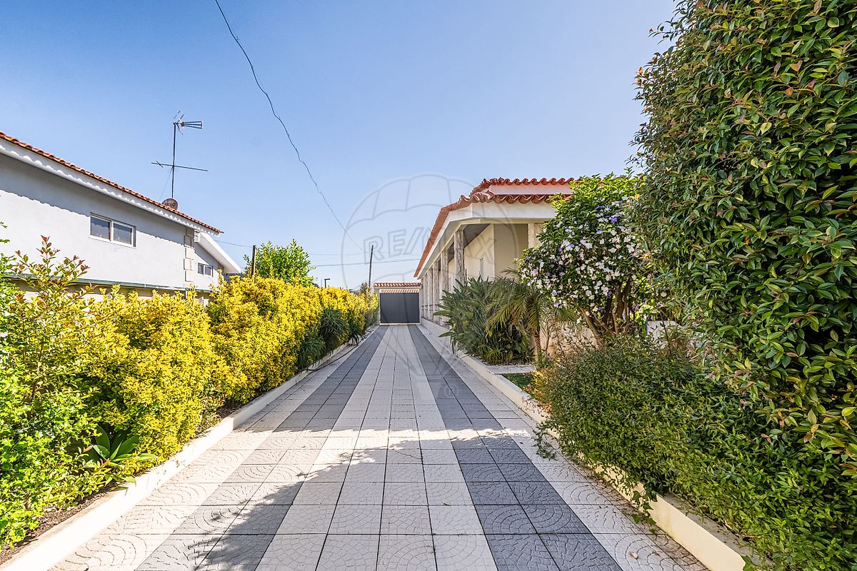 listing 126631002-47 picture-0