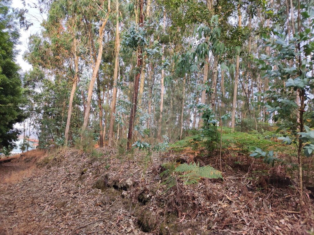 Terreno para venda