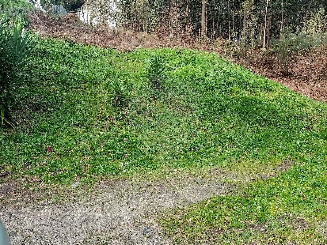 Terreno à venda em Vale de Cambra