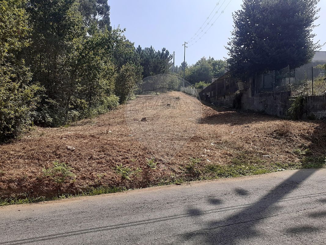 Land for sale in Oliveira de Azeméis, Portugal — €250,000