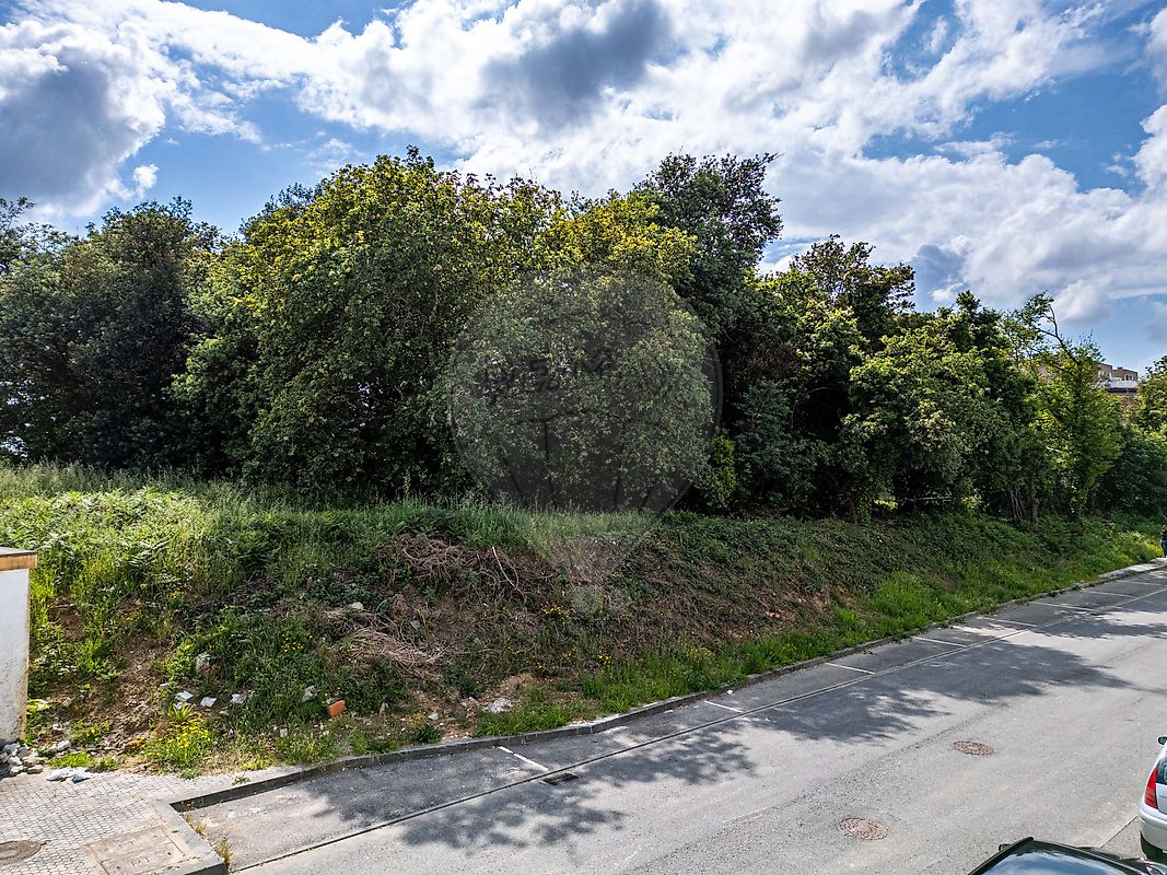 listing 126641027-33 picture-0