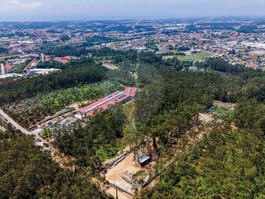 Terreno à venda em Santa Maria da Feira
