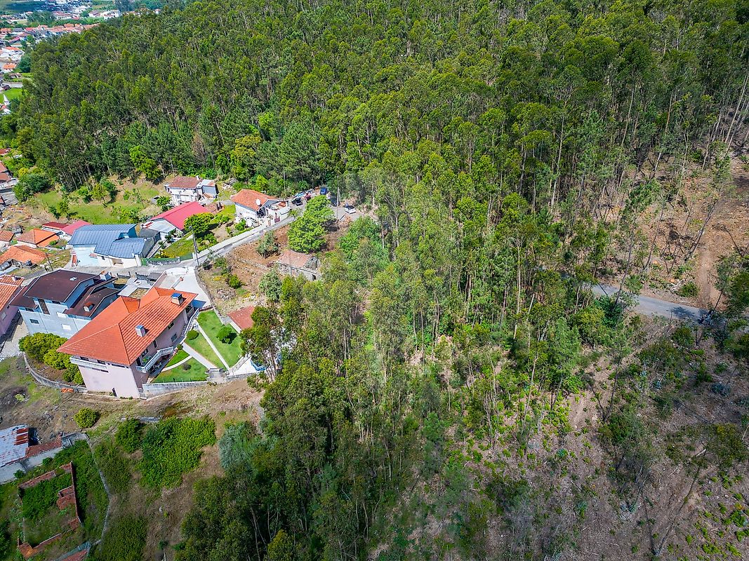 Terreno - Romariz, Santa Maria da Feira, Aveiro