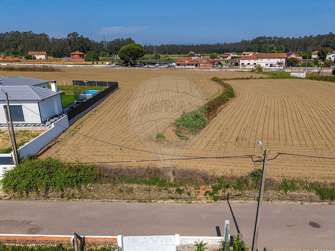 Terreno à venda em Estarreja