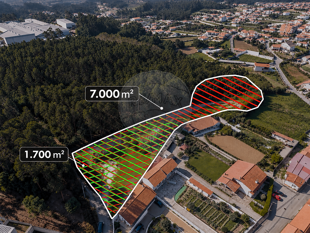 Terreno - Nogueira da Regedoura, Santa Maria da Feira, Aveiro