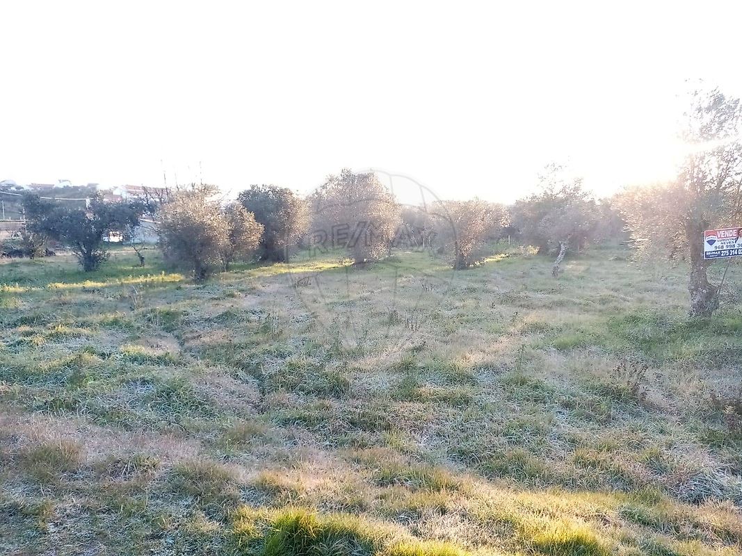Terreno à venda em Penamacor