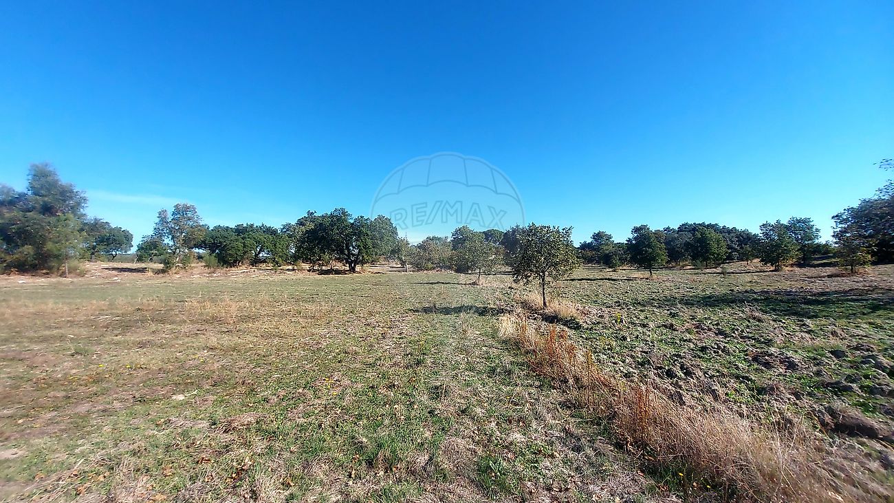 Terreno à venda em Penamacor