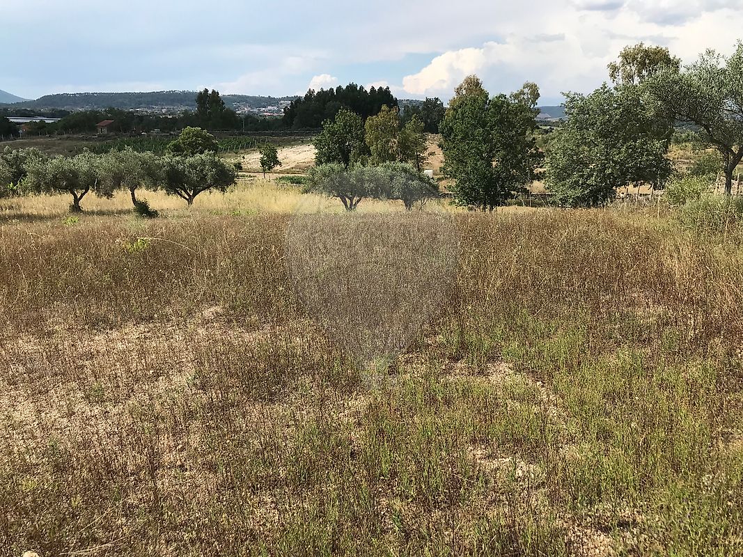 Terreno à venda em Penamacor