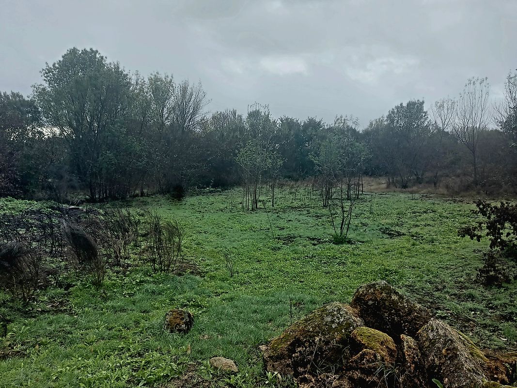 Terreno - Aldeia do Bispo, Águas e Aldeia de João Pires, Penamacor, Castelo Branco