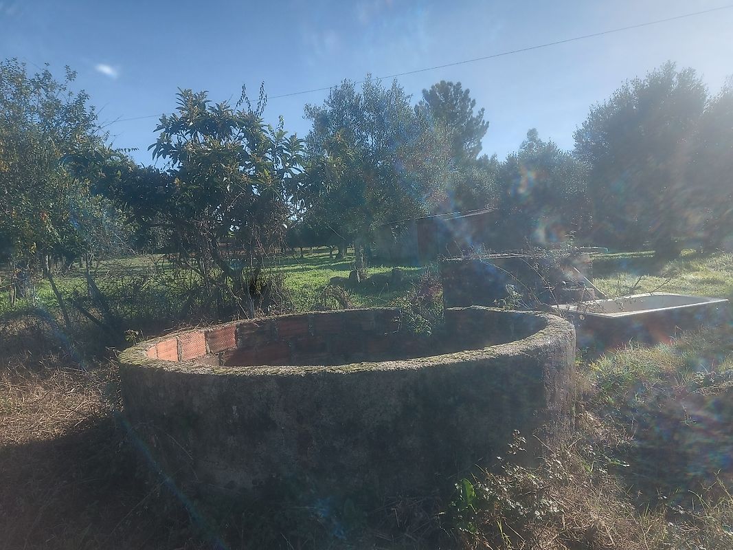 Terreno - Pedrógão de São Pedro e Bemposta, Penamacor, Castelo Branco