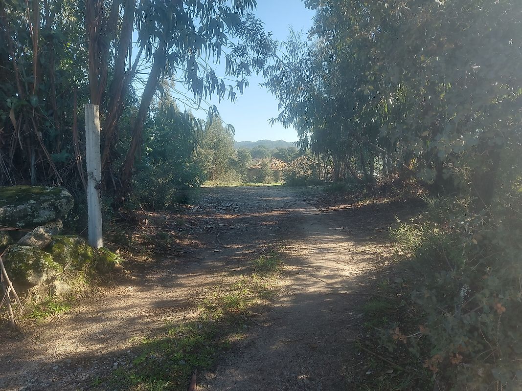 Terreno - Pedrógão de São Pedro e Bemposta, Penamacor, Castelo Branco