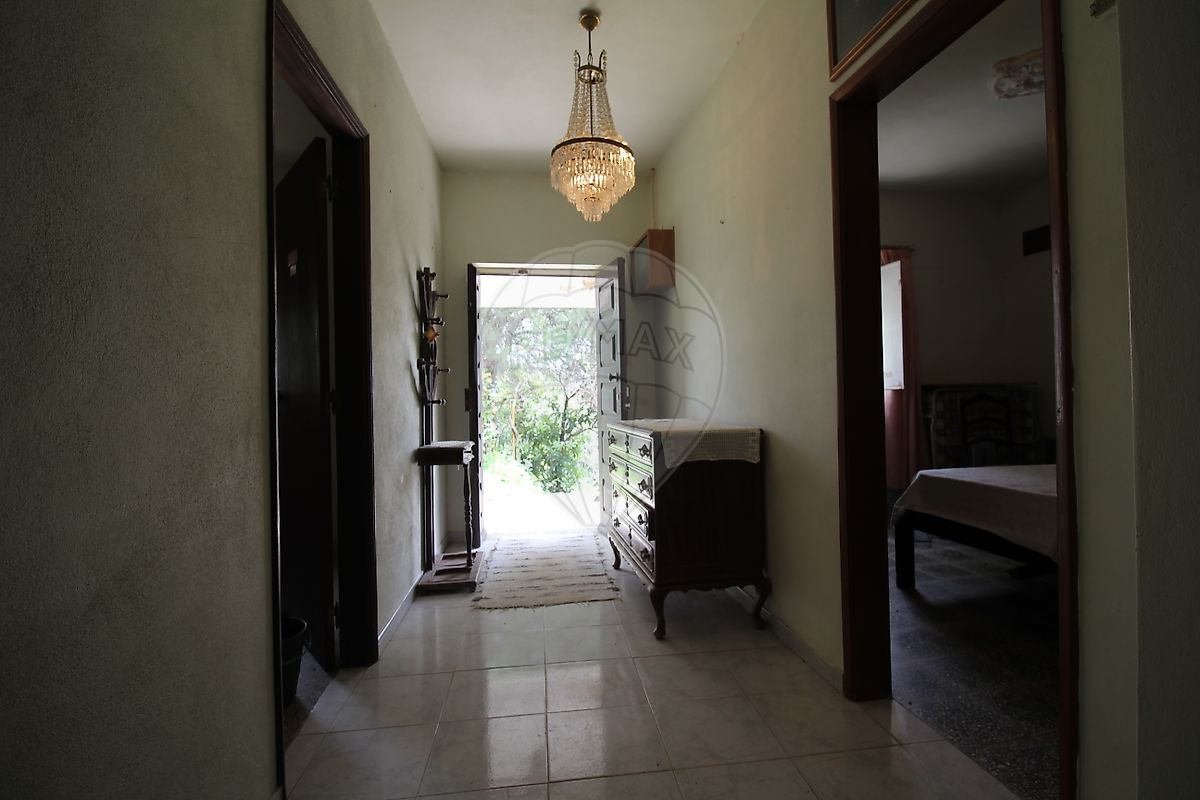 listing 126661014-41 picture-0