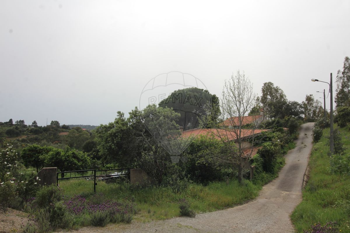 listing 126661014-41 picture-0