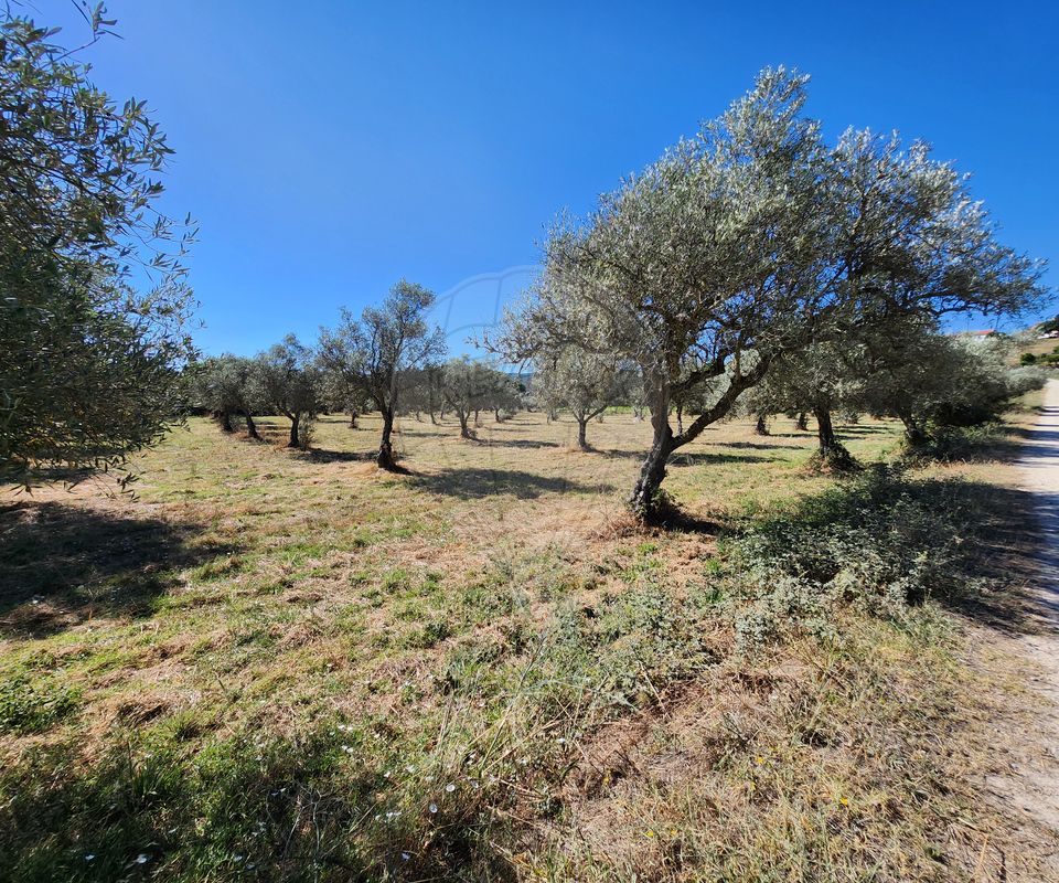 Terreno para venda