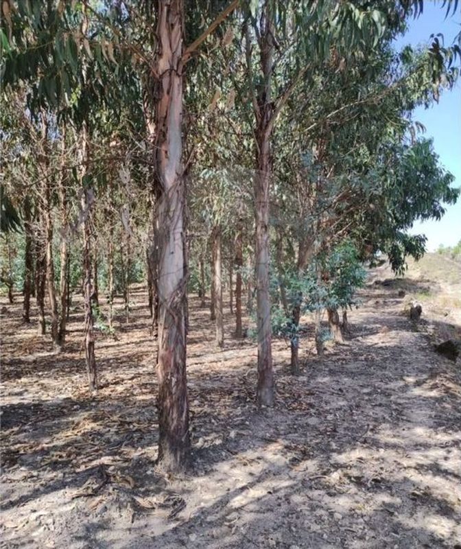 Terreno para venda