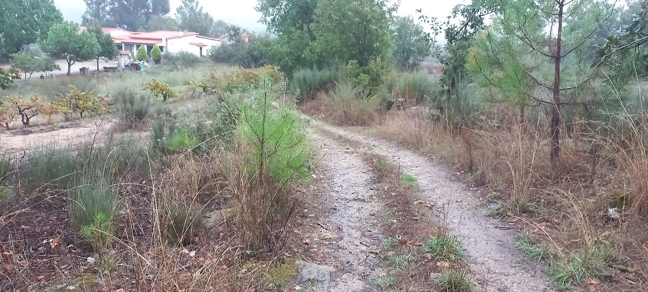 Terreno  à venda em Belmonte