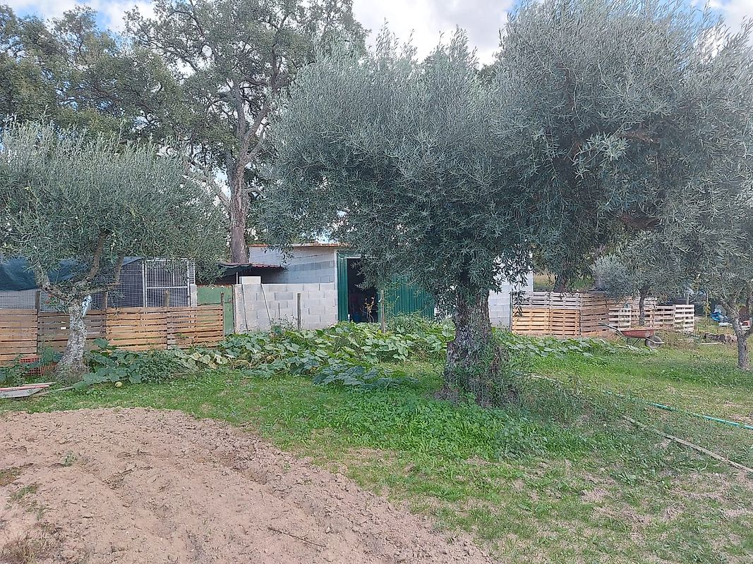 Terreno à venda em Penamacor