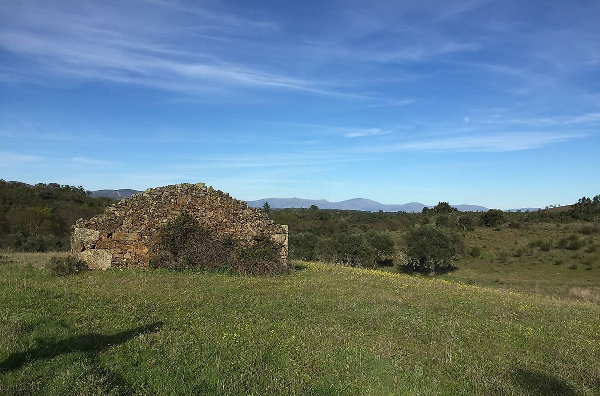 Terreno - Penamacor, Penamacor, Castelo Branco