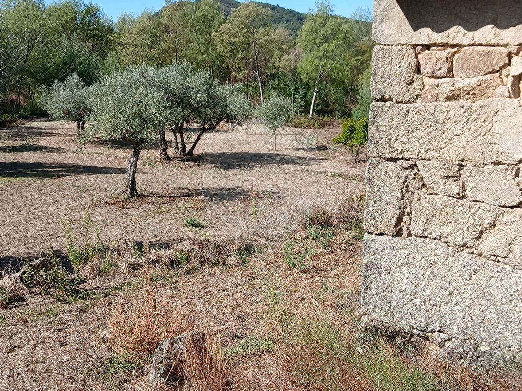 Terreno para venda