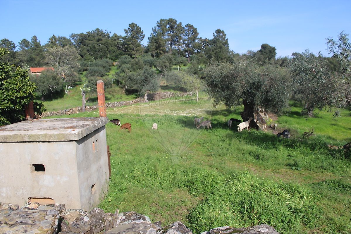 Terreno  para venda