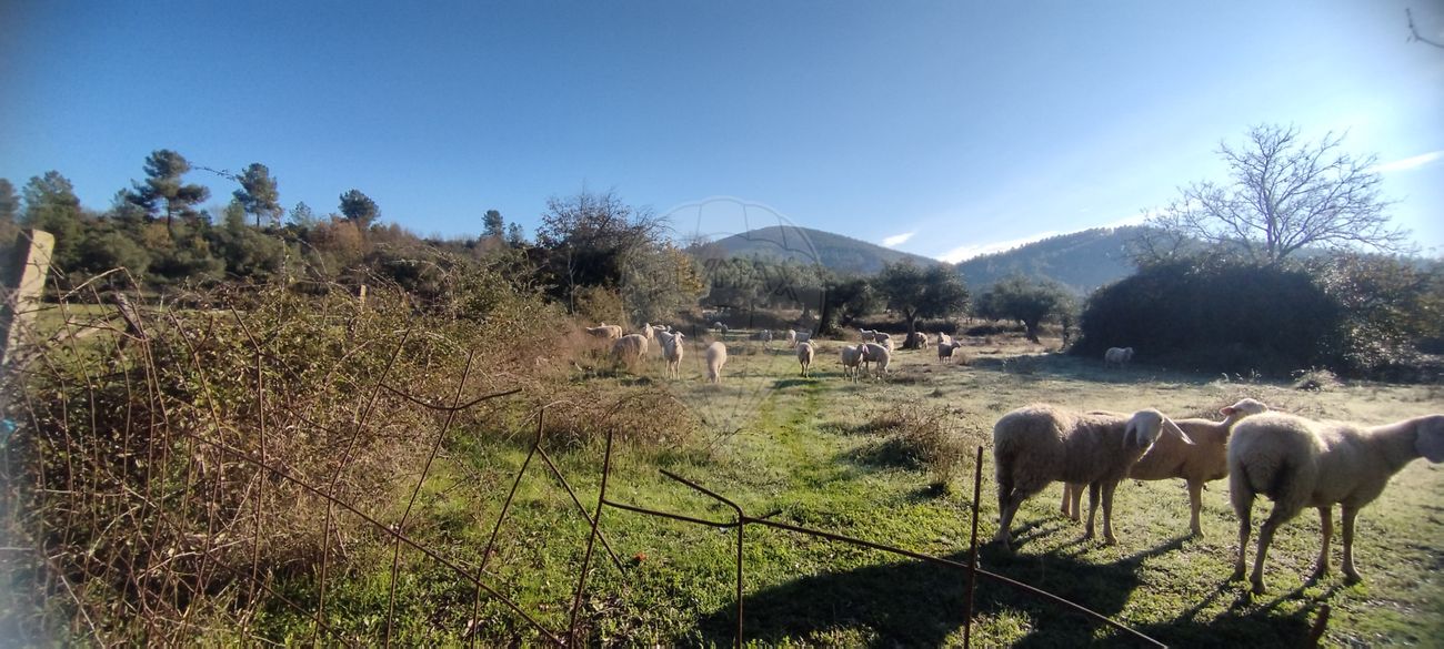 Terreno para venda