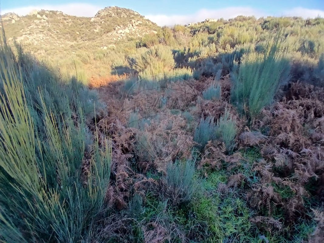 TODO