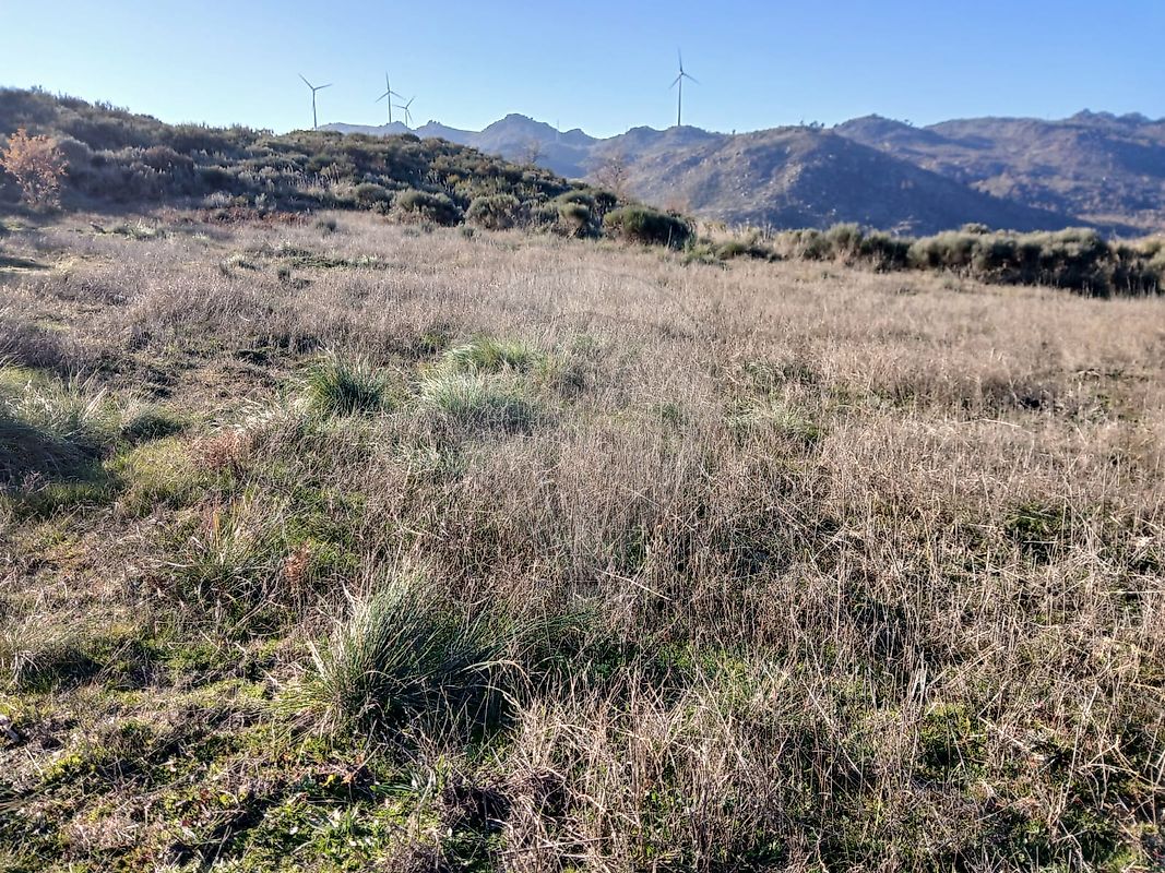 Terreno  para venda