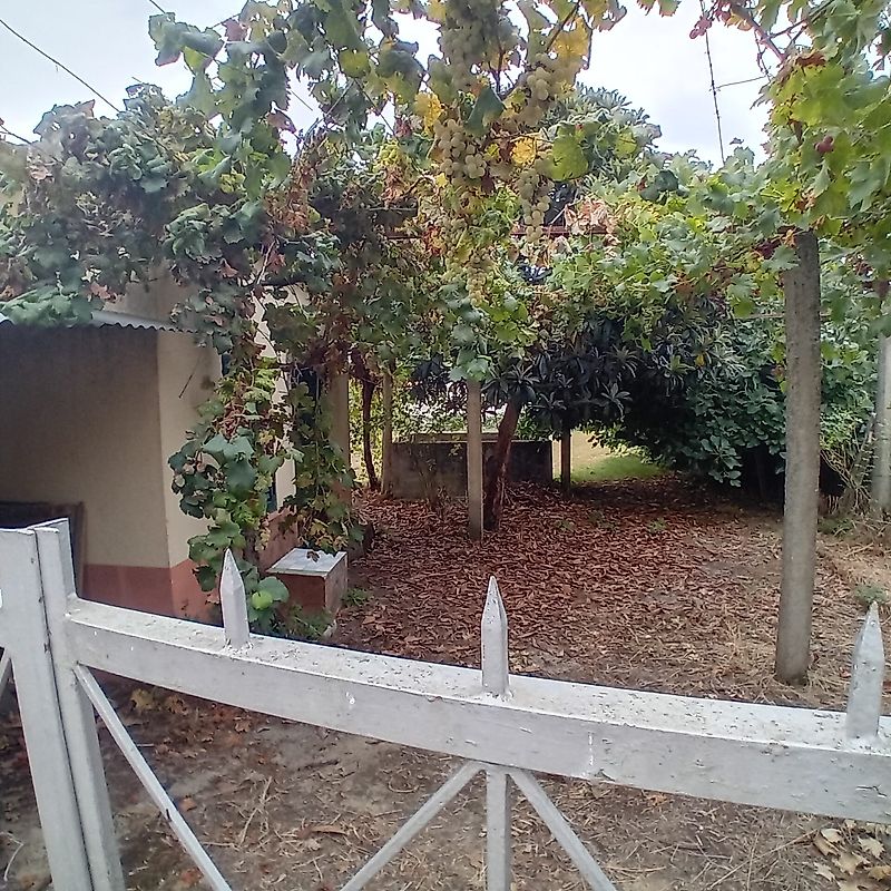 Moradia T3 à venda em Benquerença, Penamacor — foto 12