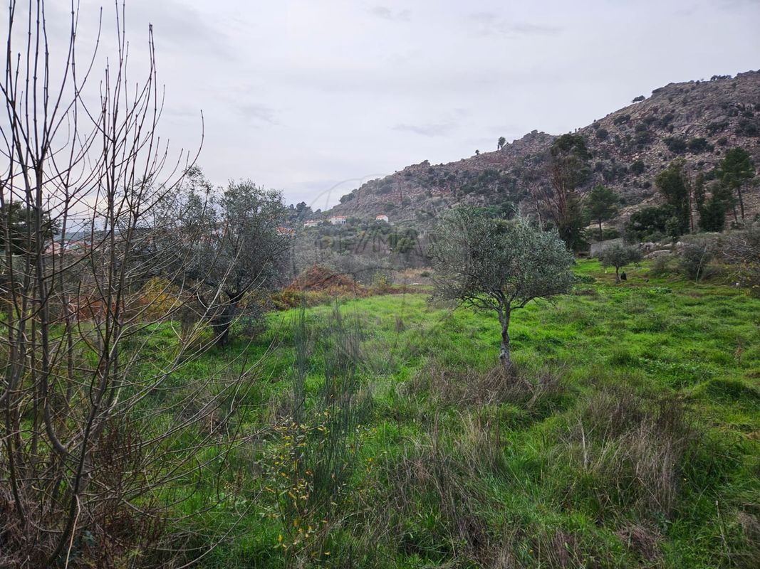 Terreno para venda