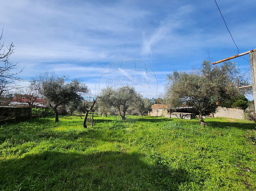 listing 126661023-8 picture-0