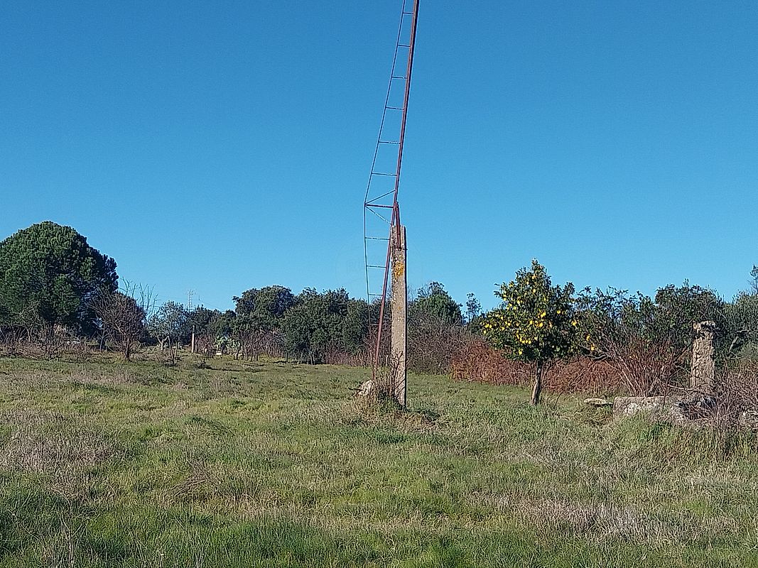Terreno  à venda em Castelo Branco