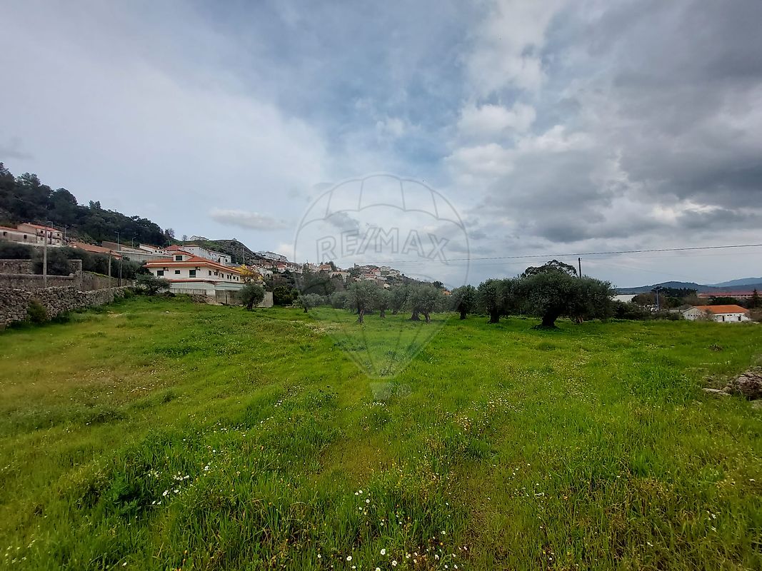 Terreno - Penamacor, Penamacor, Castelo Branco