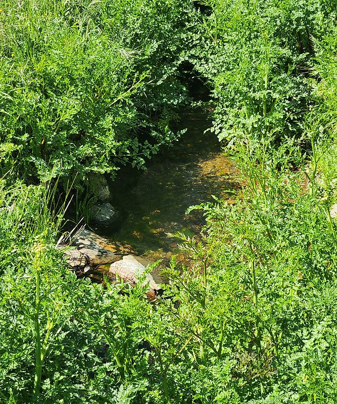 Terreno à venda em Penamacor