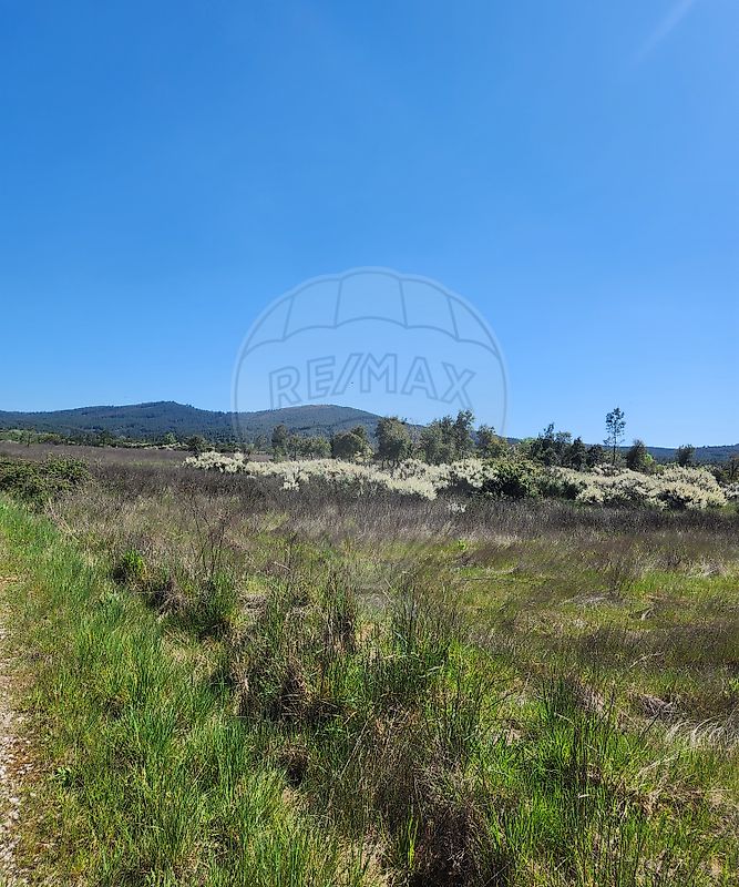 Terreno à venda em Penamacor