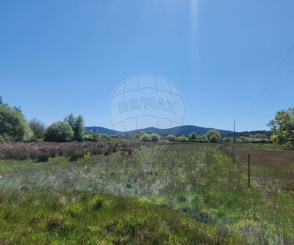 Terreno  para venda