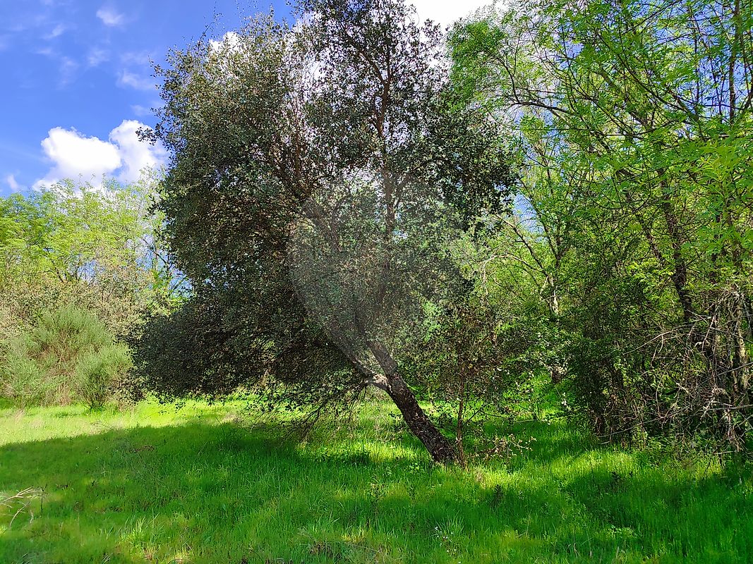 listing-picture-0
