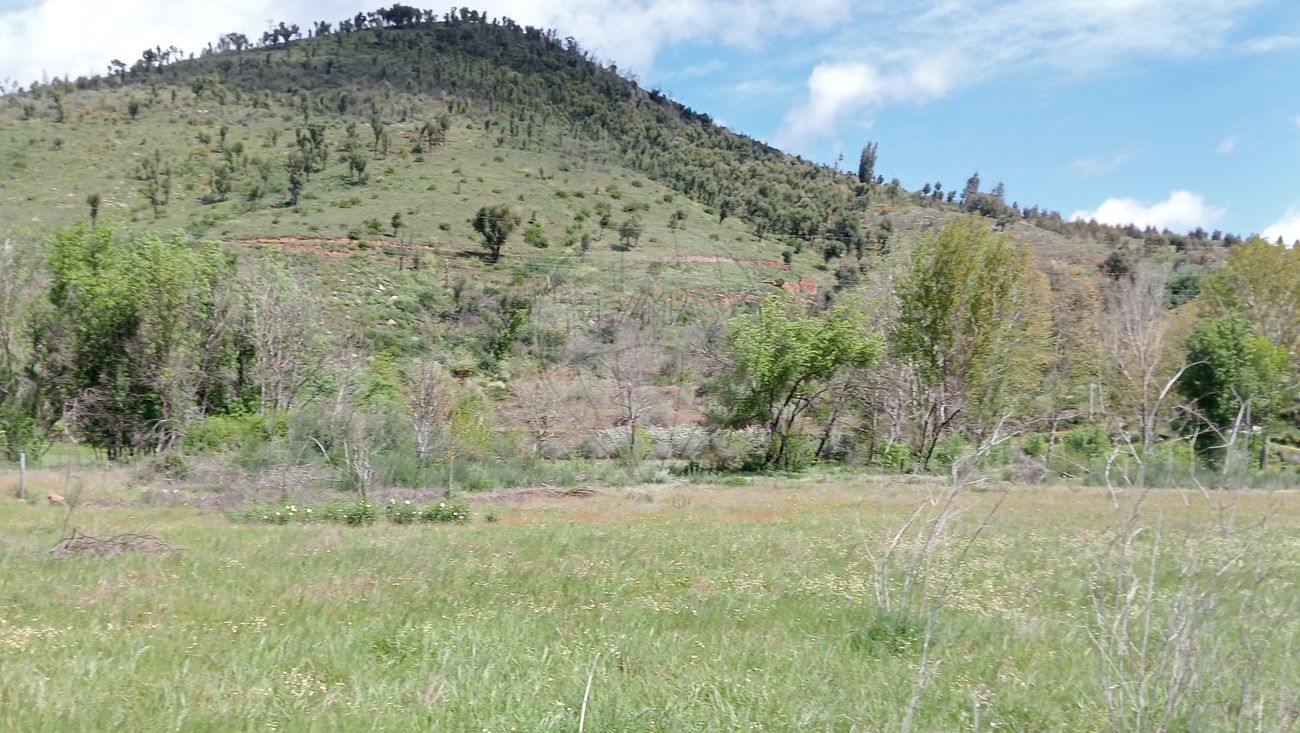 Terreno para venda
