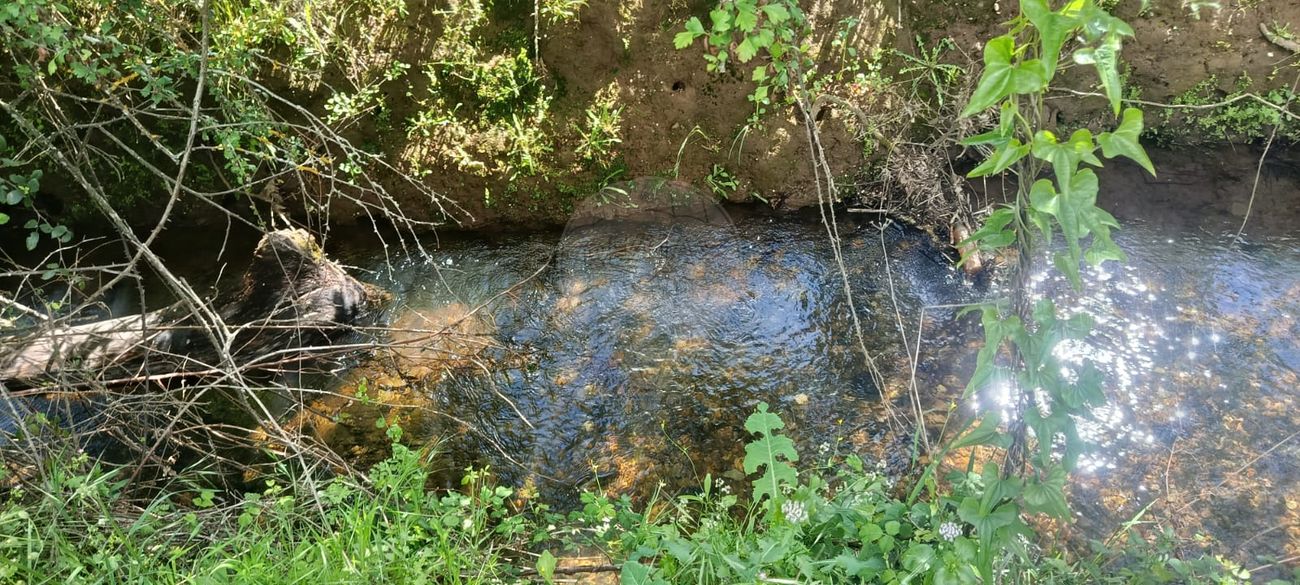 Terreno para venda