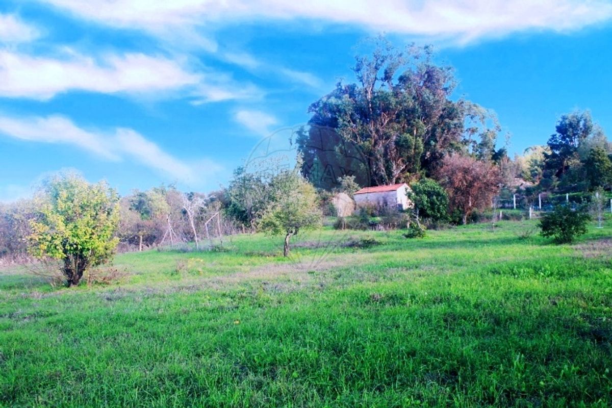 Quinta para venda