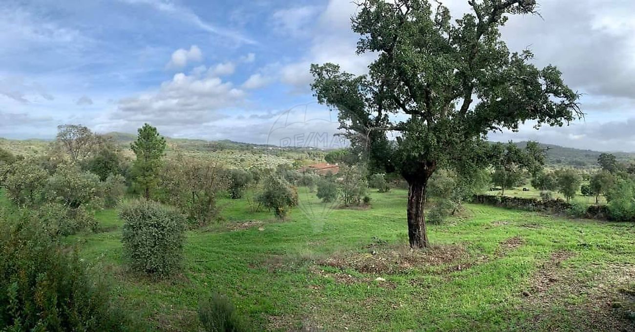 Terreno  para venda