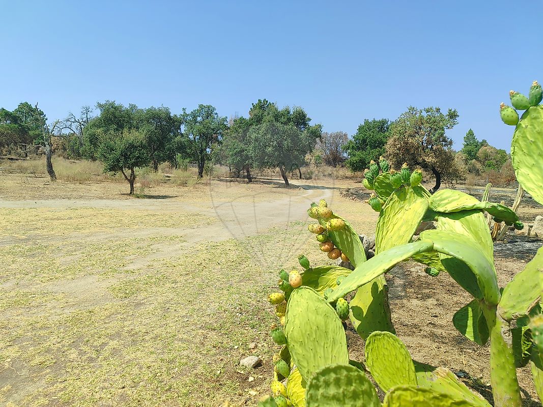 Quinta  para venda