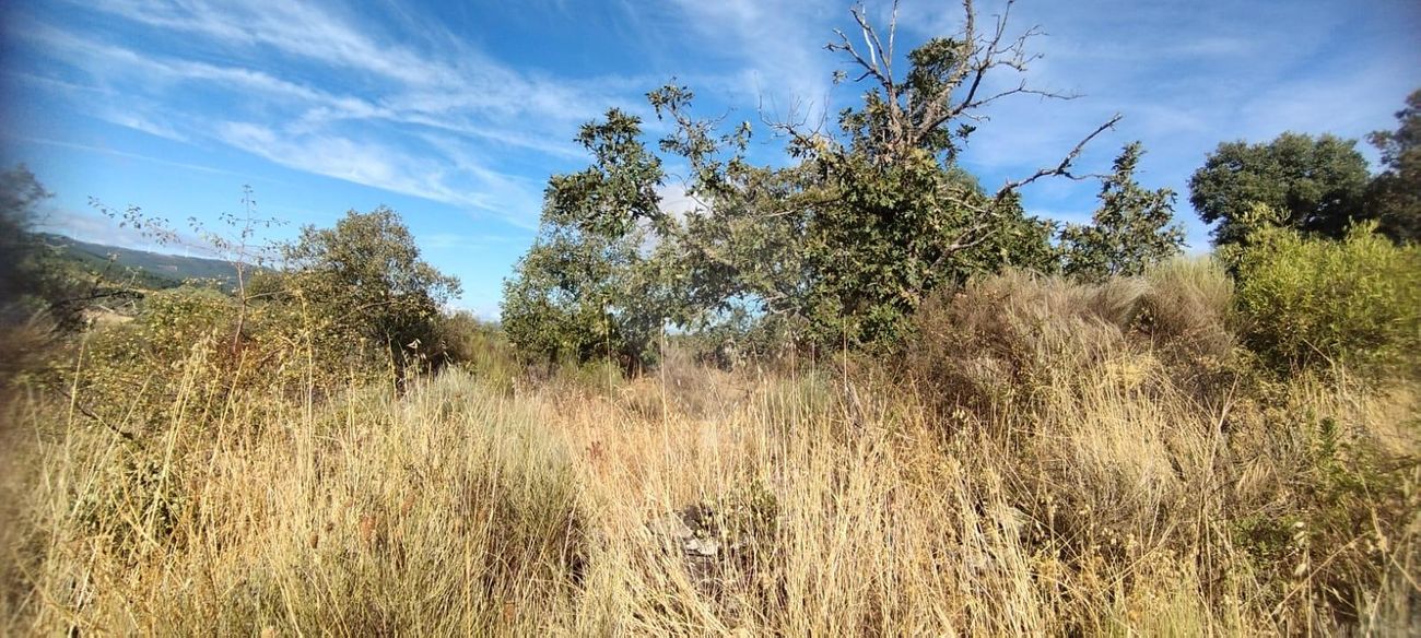 Terreno  para venda
