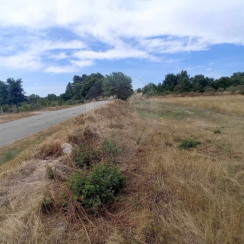 Terreno - Penamacor, Penamacor, Castelo Branco