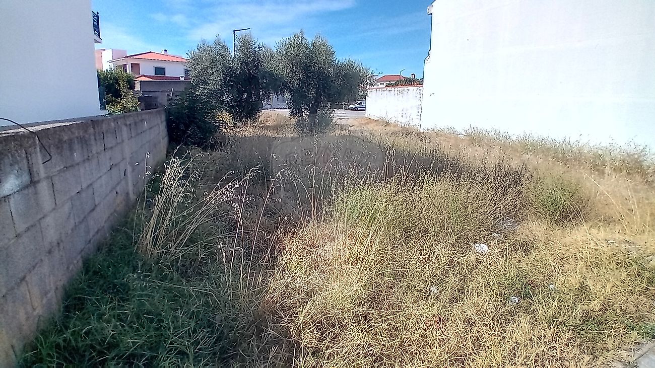 Terreno  para venda