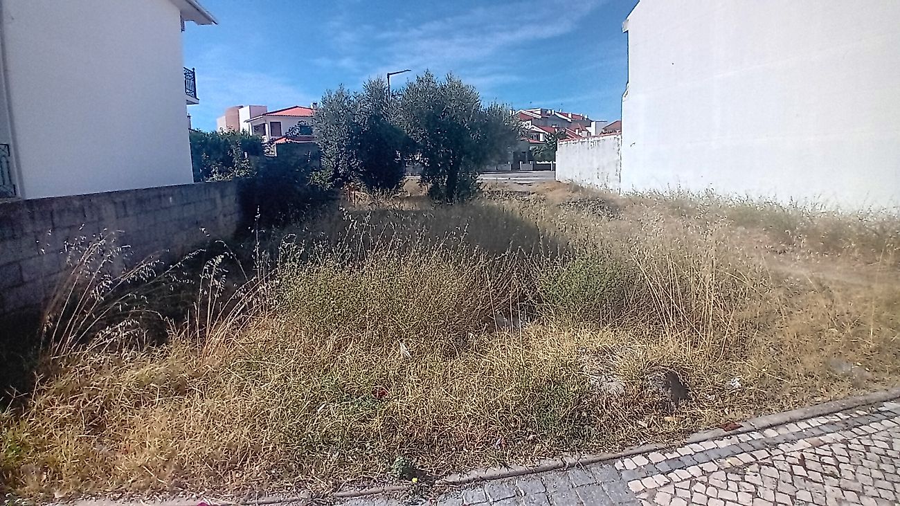 Terreno - Alcains, Castelo Branco, Castelo Branco