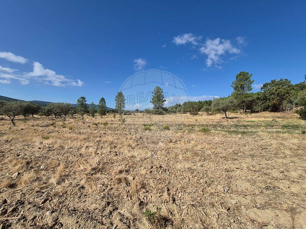 Terreno para venda
