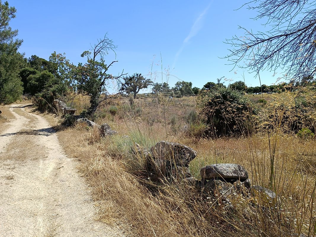 Terreno - Pedrógão de São Pedro e Bemposta, Penamacor, Castelo Branco
