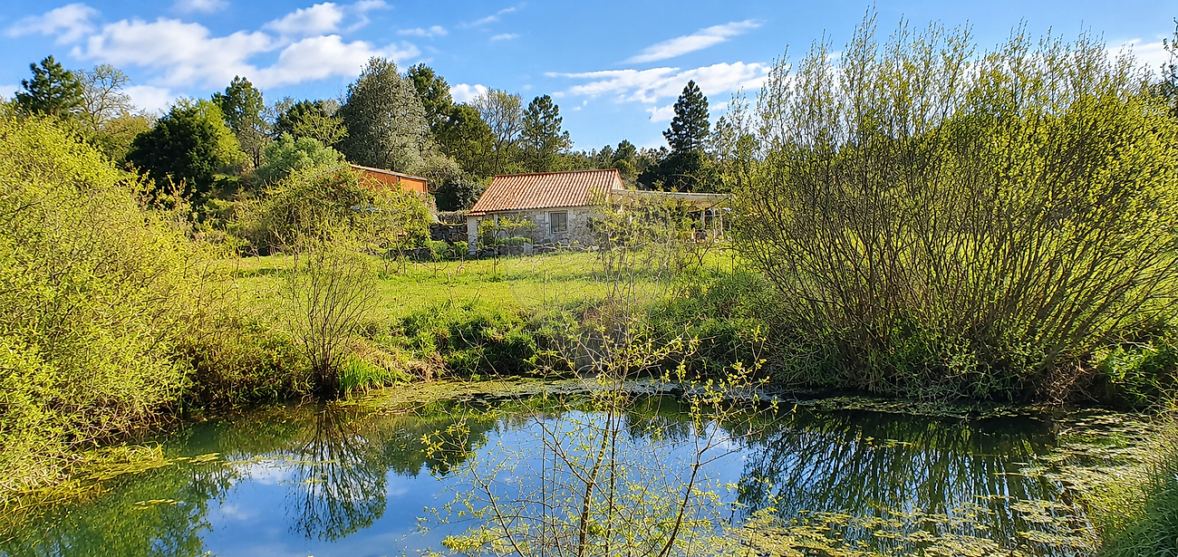 Quinta - Pedrógão de São Pedro e Bemposta, Penamacor, Castelo Branco