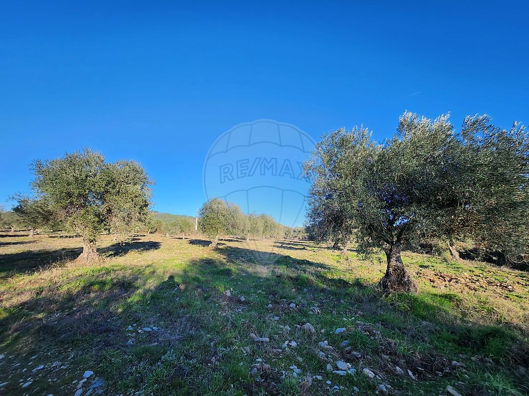 Terreno - Meimoa, Penamacor, Castelo Branco